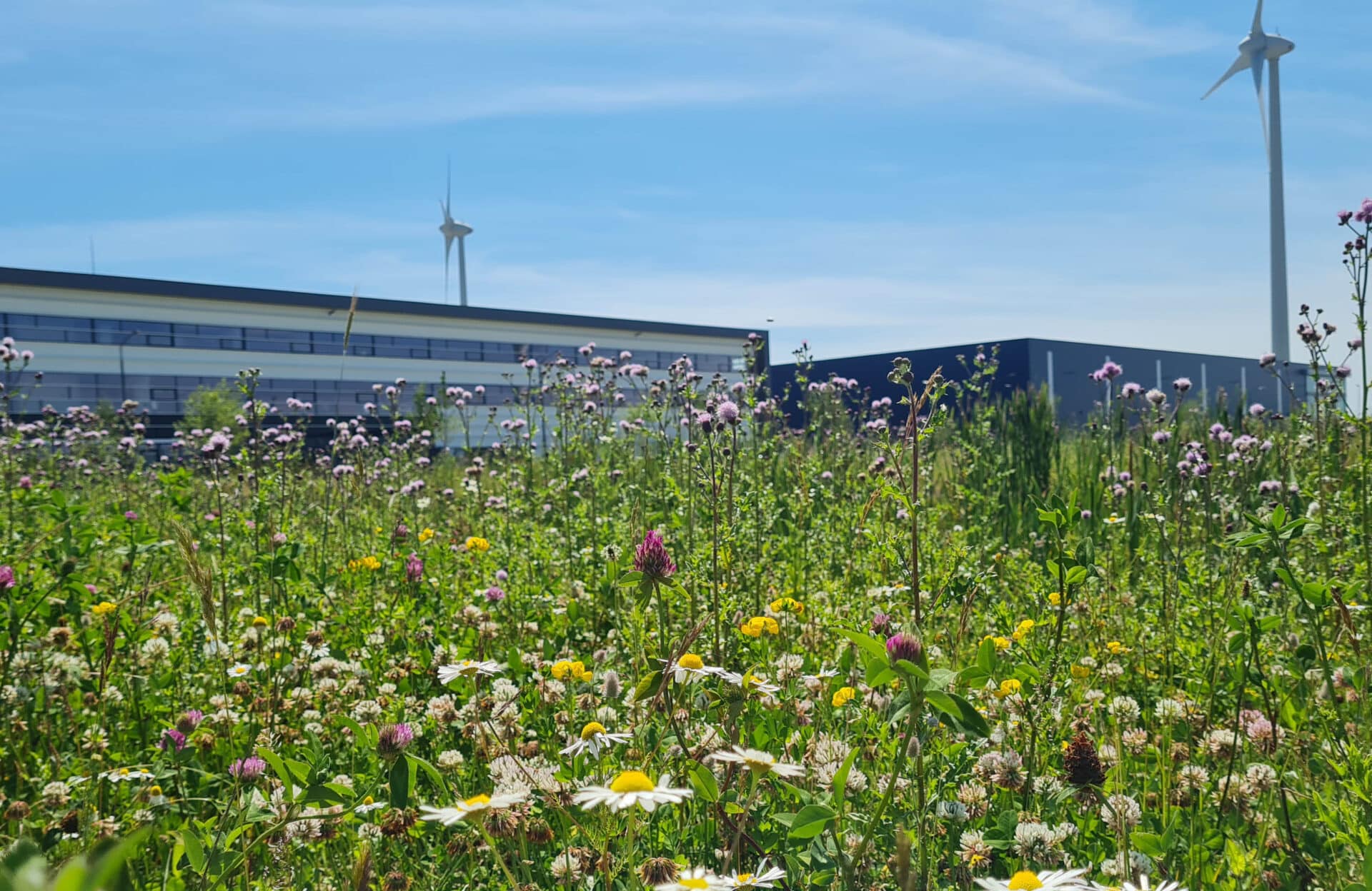 Sustainably built environment ELCEE EcoVadis