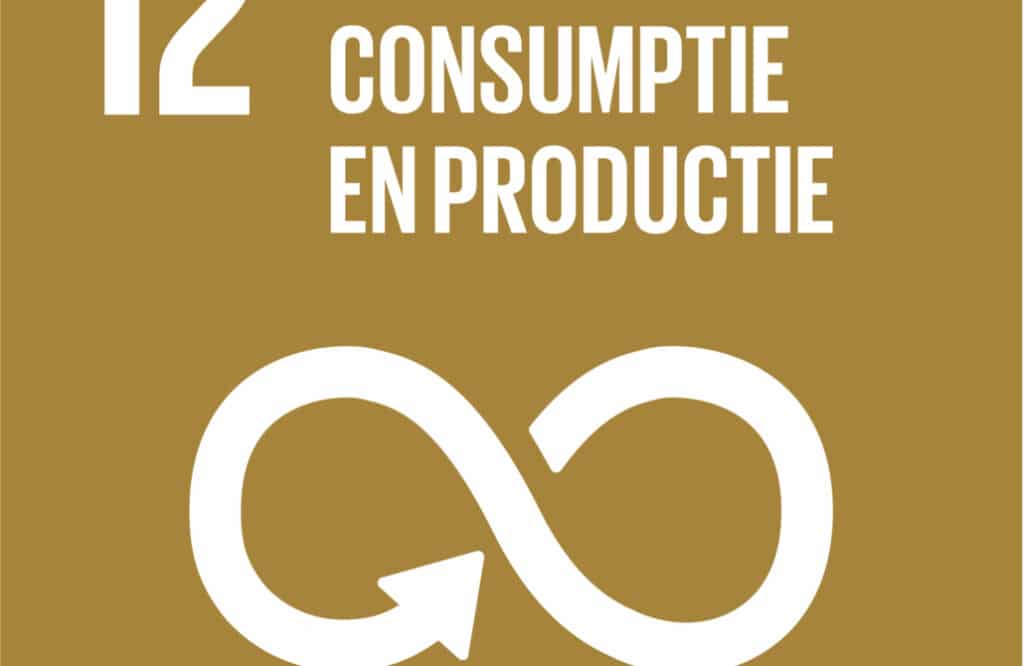SDG 12 verantwoorde consumptie en productie